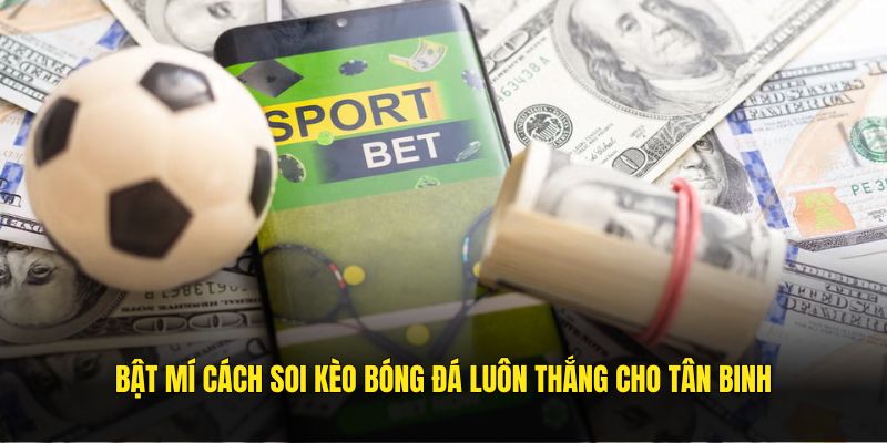 Bật mí cách soi kèo bóng đá luôn thắng cho tân binh