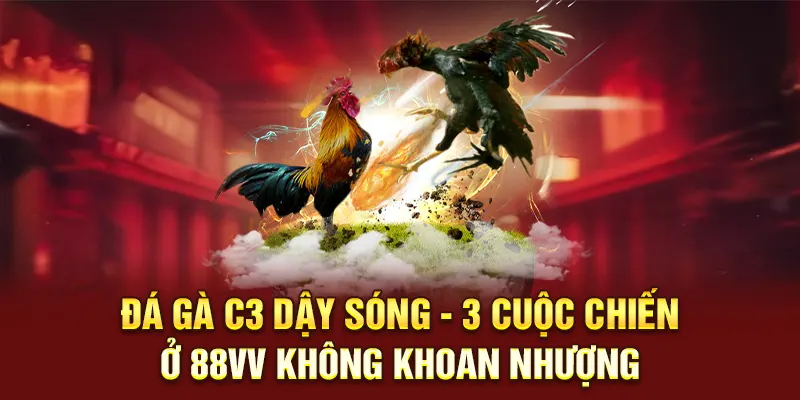 Đá gà c3