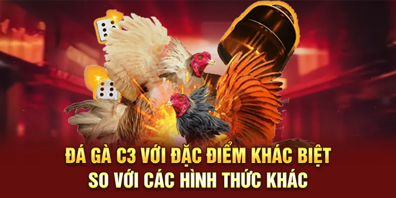 Đá gà C3 với đặc điểm khác biệt so với các hình thức khác