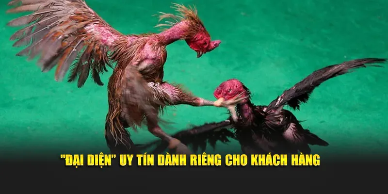 "Đại diện” uy tín dành riêng cho khách hàng