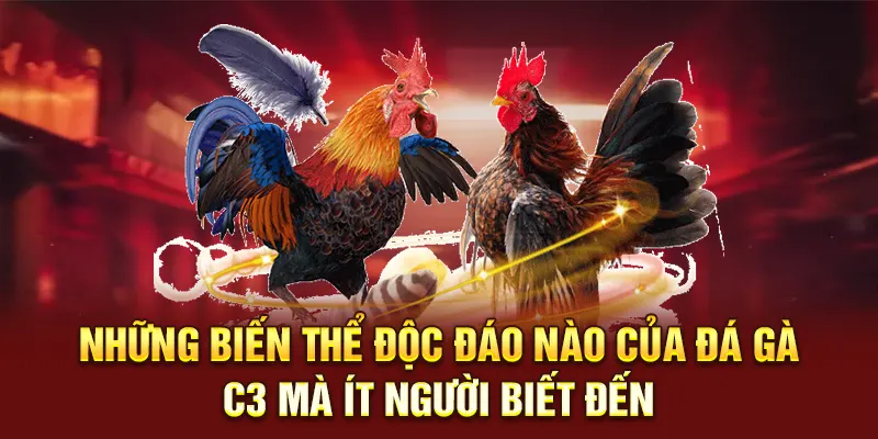Những biến thể độc đáo nào của đá gà C3 mà ít người biết đến