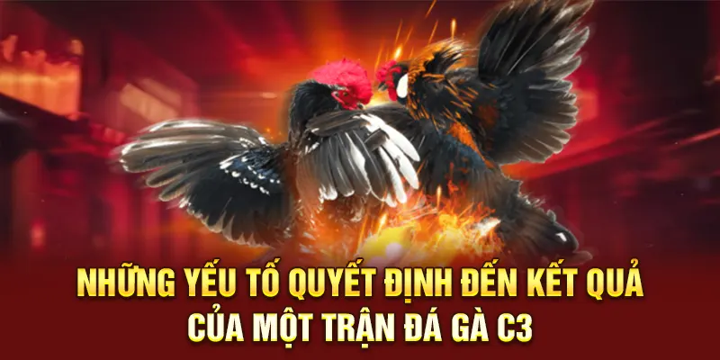 Những yếu tố quyết định đến kết quả của một trận đá gà C3