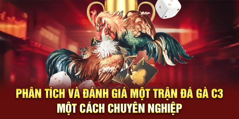 Phân tích và đánh giá một trận đá gà C3 một cách chuyên nghiệp